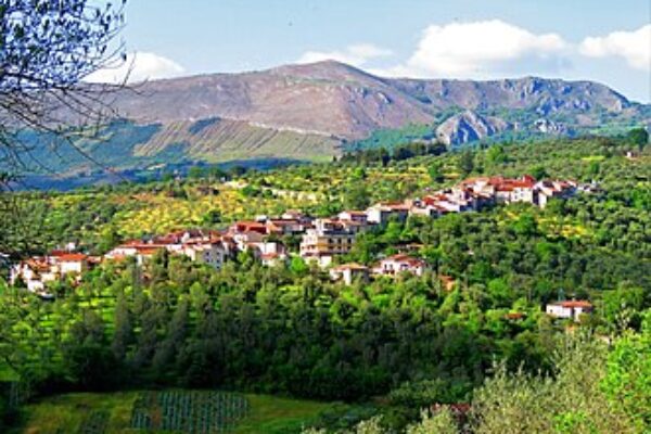 Vallo di Diano: scrigno di storia, natura e operosità