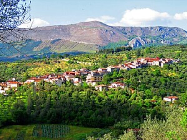 Vallo di Diano: scrigno di storia, natura e operosità