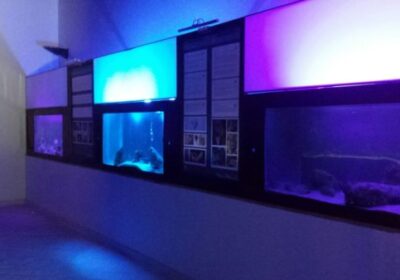 Il Museo Vivo del Mare di Pioppi, una meraviglia da scoprire