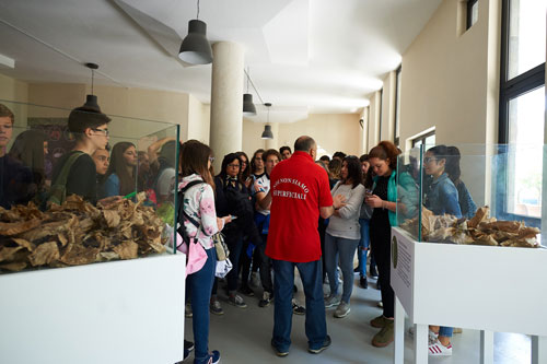 museo del suolo pertosa