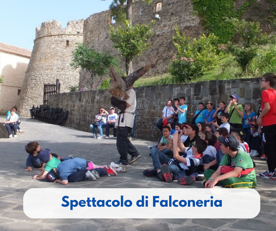falconeria
