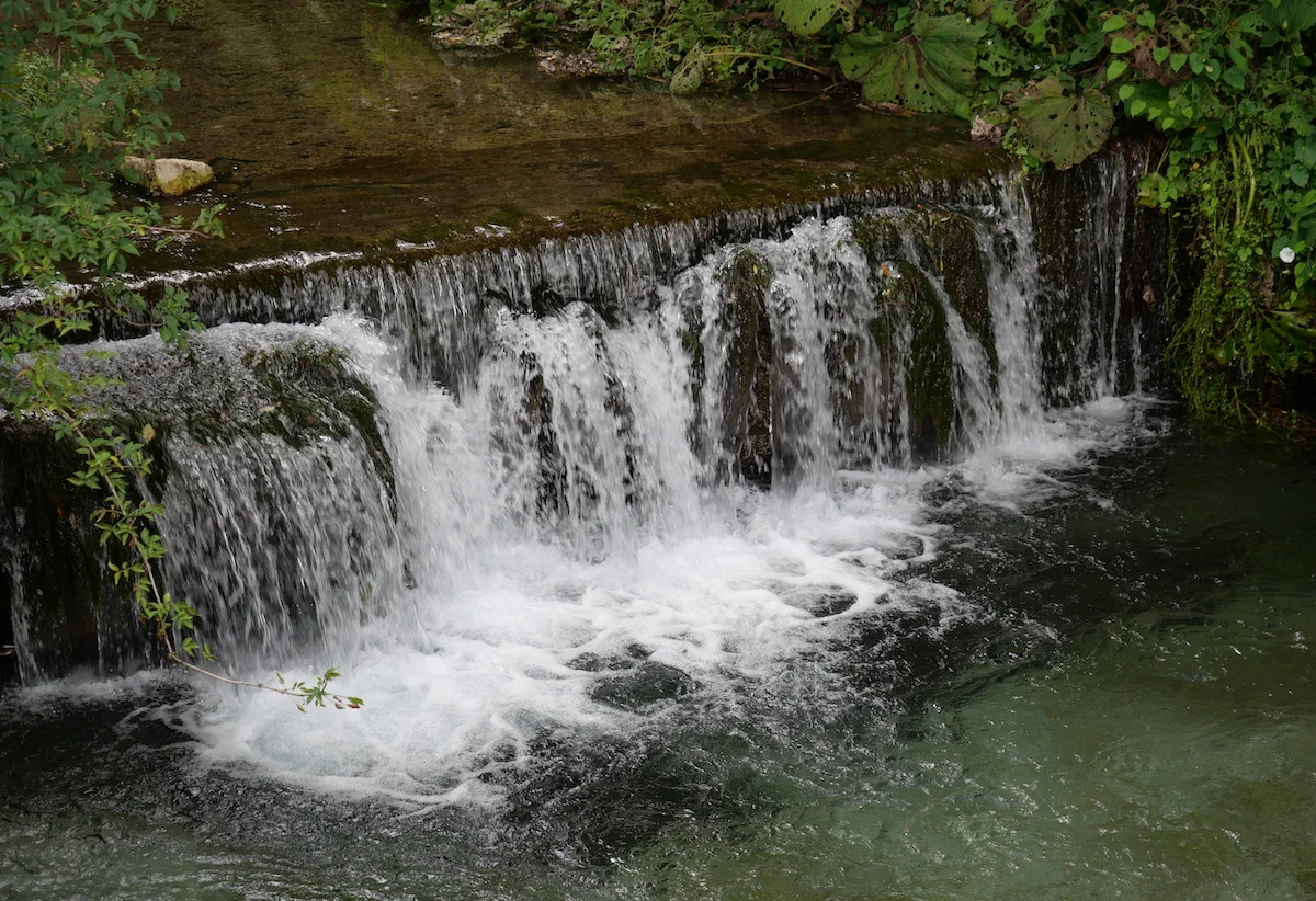 educazione civica. un'opportunità di crescita per gli studenti