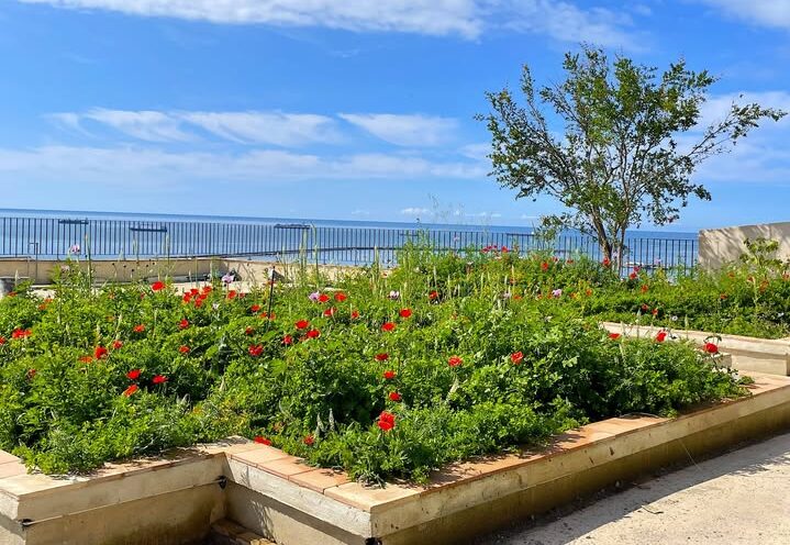 Giardino della Minerva, riapertura tra storia, restyling ed il futuro di Salerno 