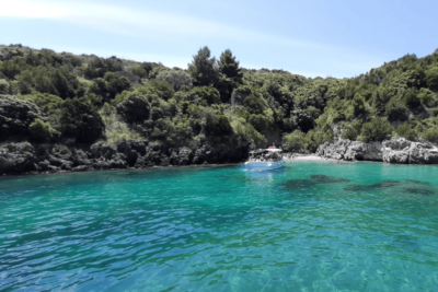 healiday scolastica - marina di camerota