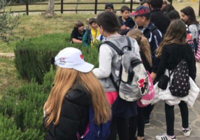 La natura insegna. Ecopsicologia e bambini, un legame importante
