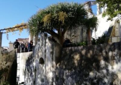 Giardino della Minerva, riapertura tra storia, restyling ed il futuro di Salerno 