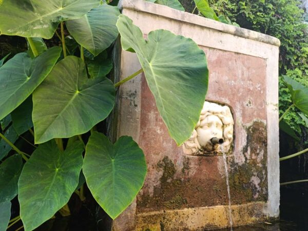 Salerno: La Scuola Medica