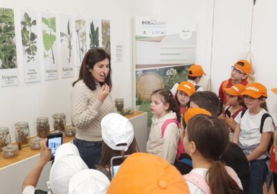 Il Museo Vivo del Mare di Pioppi, una meraviglia da scoprire