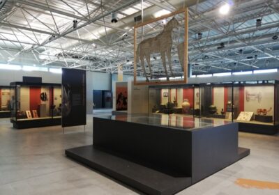 Il Museo Archeologico Nazionale ed il Parco si aprono agli studenti tra arte etrusca, suoni e creatività 