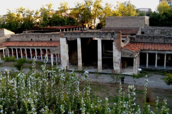 L’Economia Rurale di Boscoreale e l’Ozio Imperiale di Oplontis