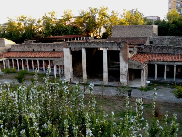 L’Economia Rurale di Boscoreale e l’Ozio Imperiale di Oplontis