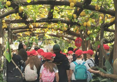 Penisola Sorrentina, perché sceglierla per una gita scolastica.