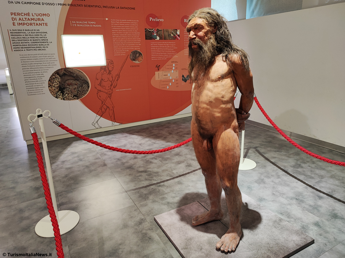 Altamura, Museo Archeologico Nazionale