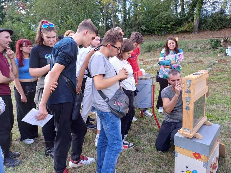 custodi della sostenibilità la vita delle api e l'eco lettura al parco eco archeologico di pontecagnano