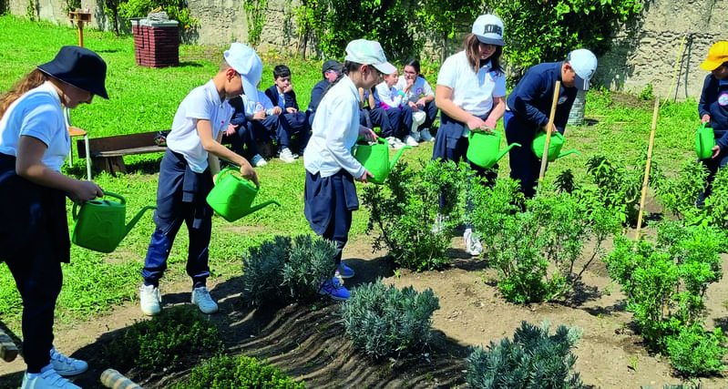 diverteducando in fattoria