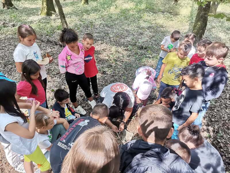 ecologia montana e sostenibilità campus giornaliero alla foresta cerreta Cognole