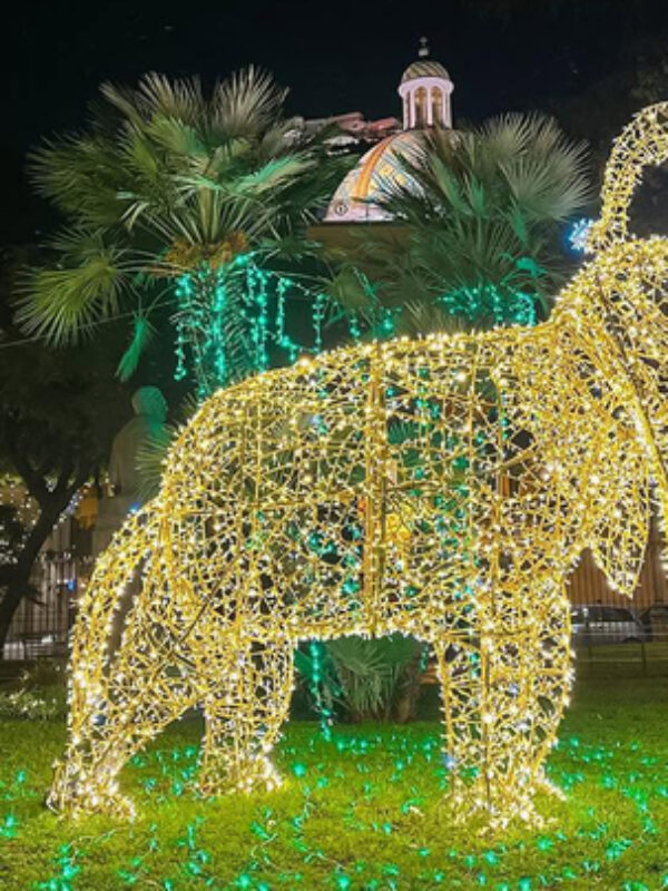 Natale a Salerno